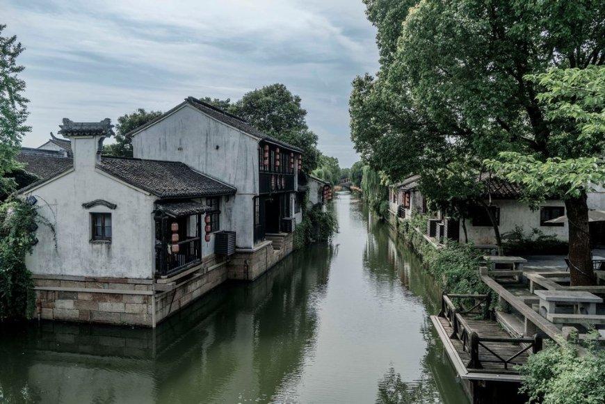 雨后盛放